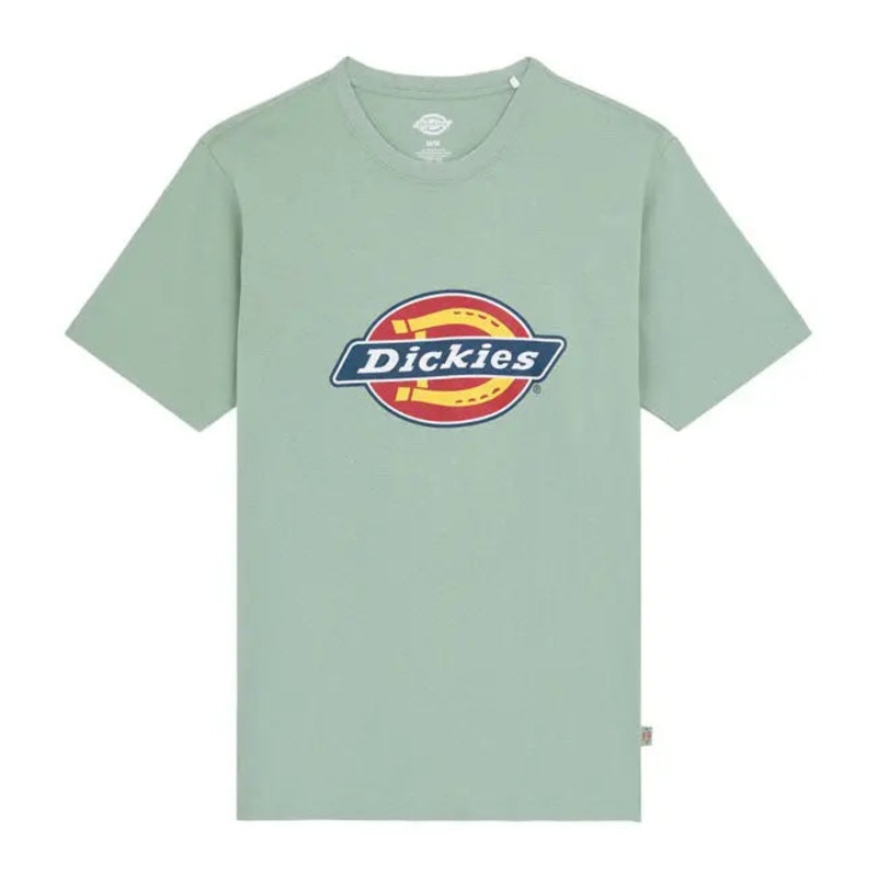 Dickies Icon Logo T-Shirt Iceberg Green