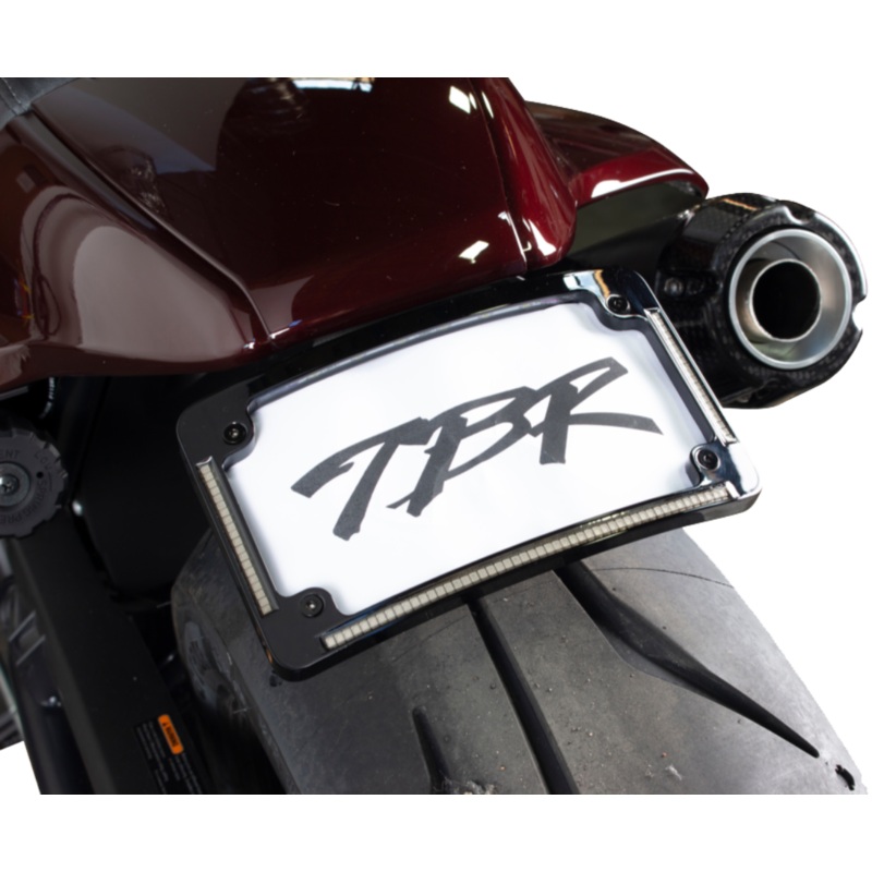 Two Bros. Fender Eliminator Kit w/ LP Light for 2021+ Sportster S