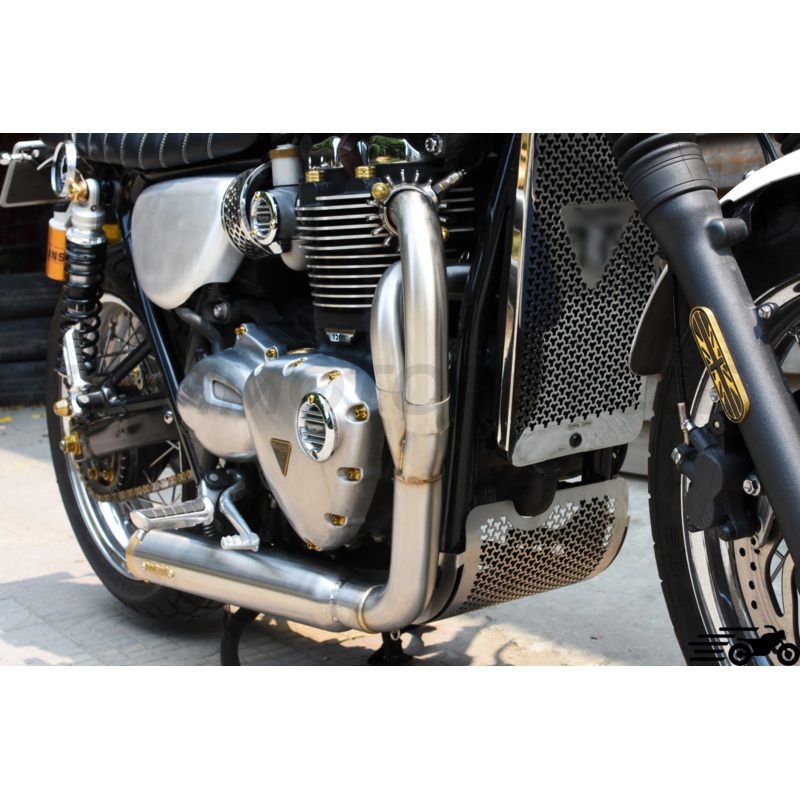 2in1 Exhaust for Triumph T100 T120 Street Speed Twin