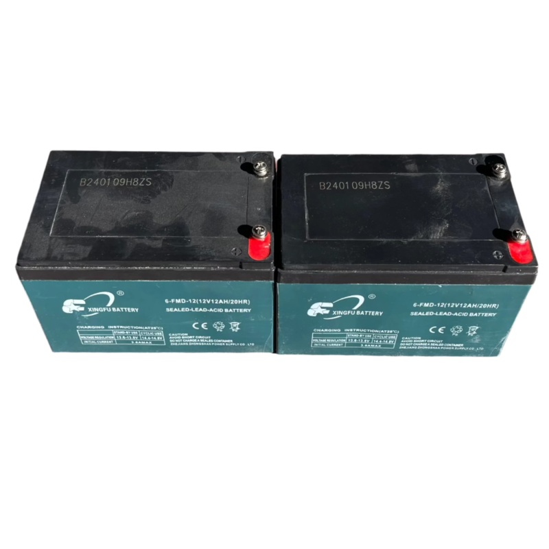 Lead Acid Battery Pack, without the battery box – 500W Dirt Bike