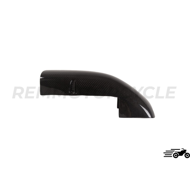 BMW R Series Carbon engine cover