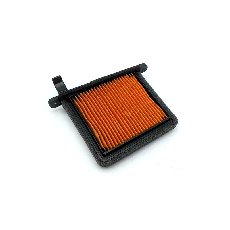 Air Filter RHS T2206531