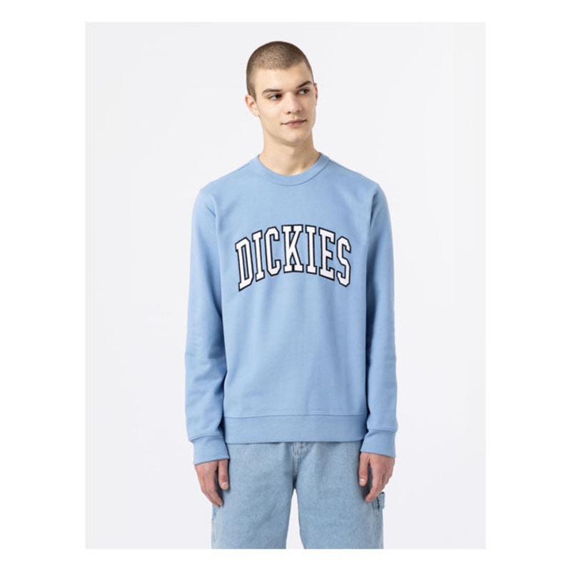 Dickies Aitkin Sweatshirt Allure