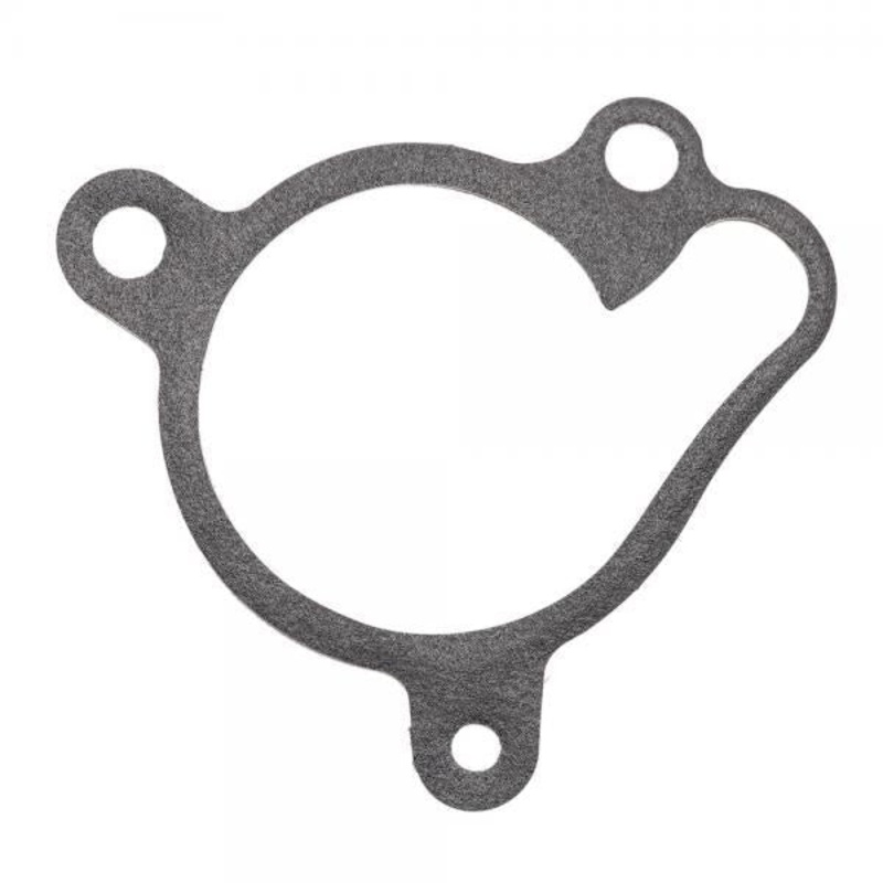 TRS ONE RR GOLD WATER PUMP COVER METAL GASKET 1.2 MM 02004MT100