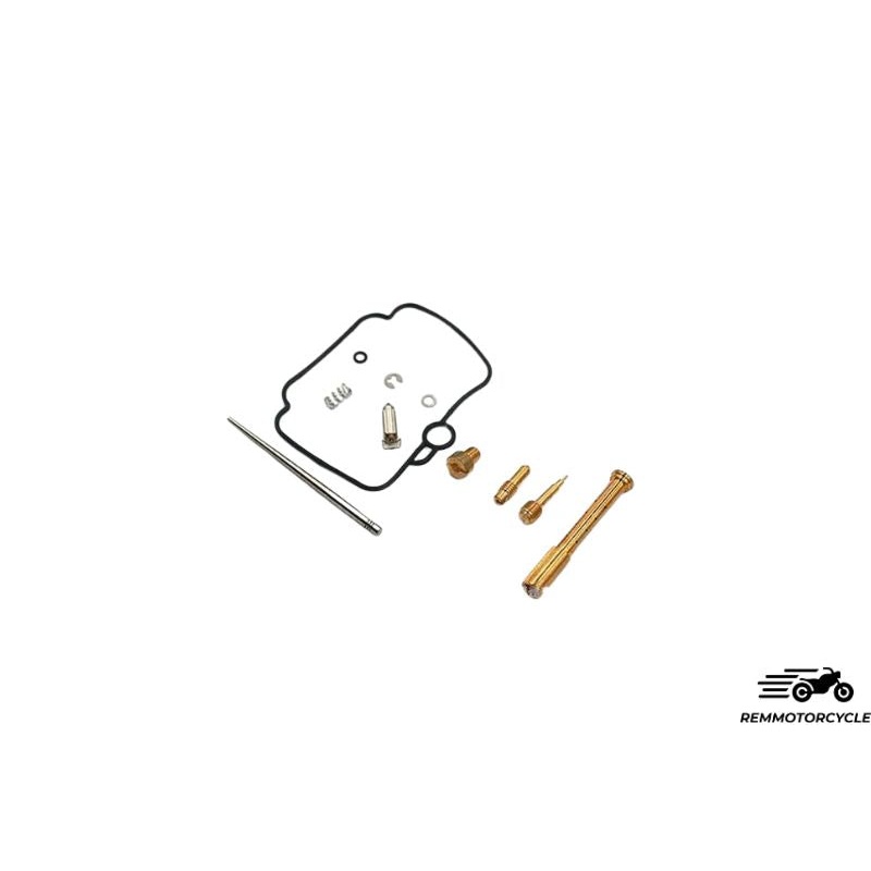 Carburetor Rebuild Kit for Shadow 2in1 Rem kit
