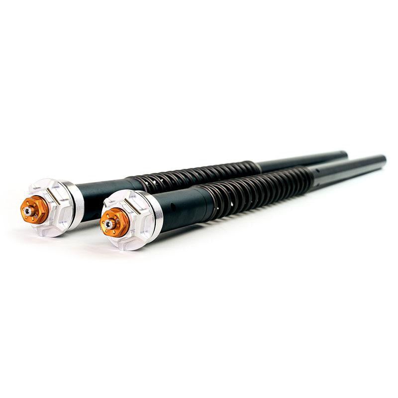 Andreani R12 Series Fork Cartridges