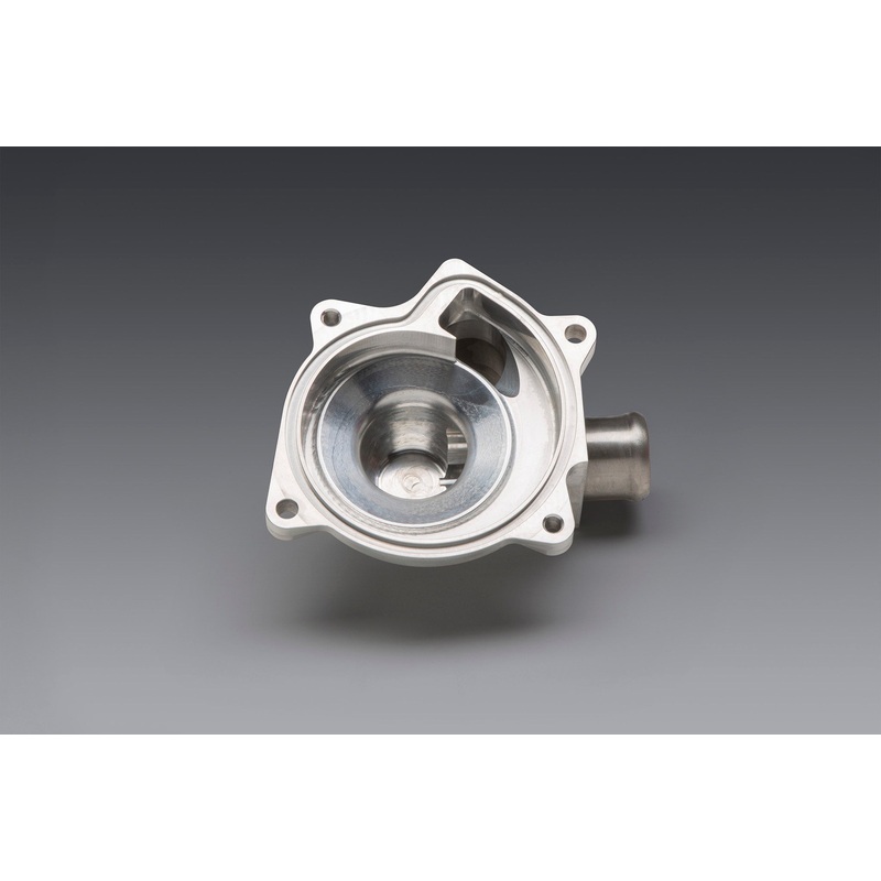 GSX-R1000 17-21 MOD LITE / DWARF WATER PUMP COVER